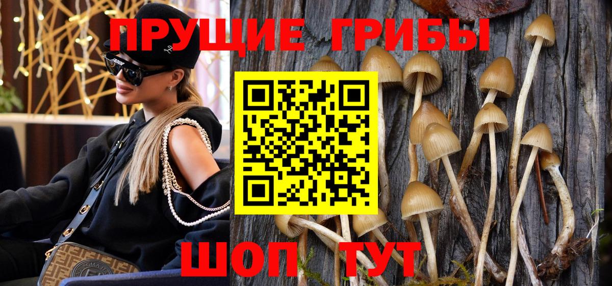 Псилоцибиновые грибы ЛСД  Псилоцибиновые грибы MAGIC MUSHROOMS  Химки  Вход с VPN 