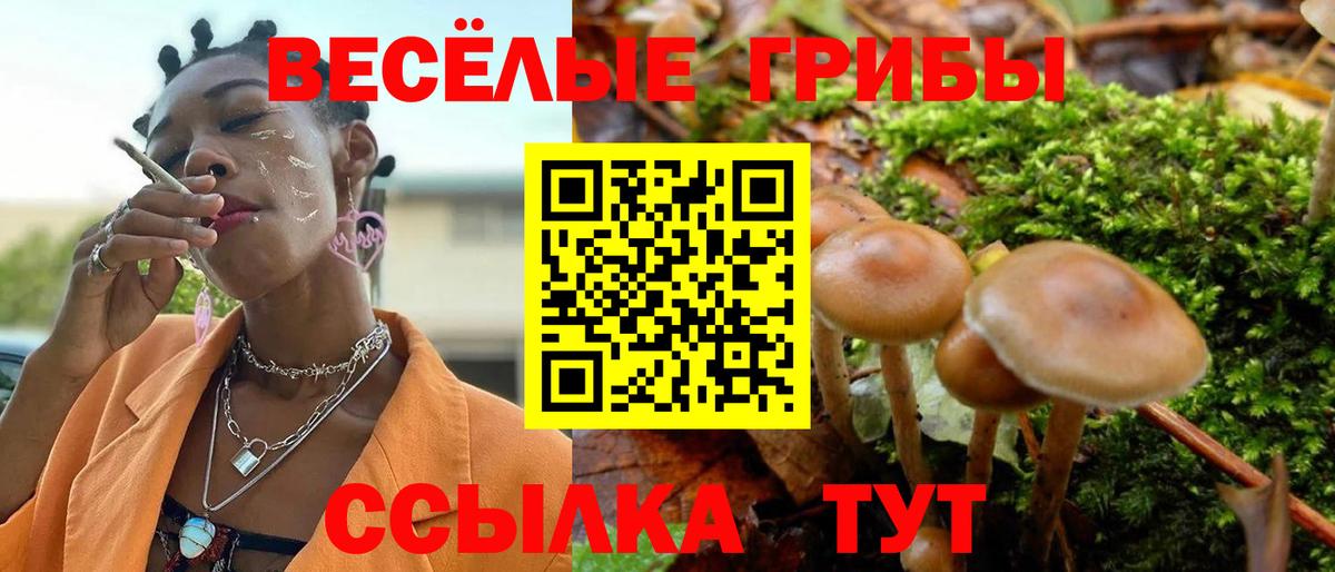 Псилоцибиновые грибы MAGIC MUSHROOMS Химки
